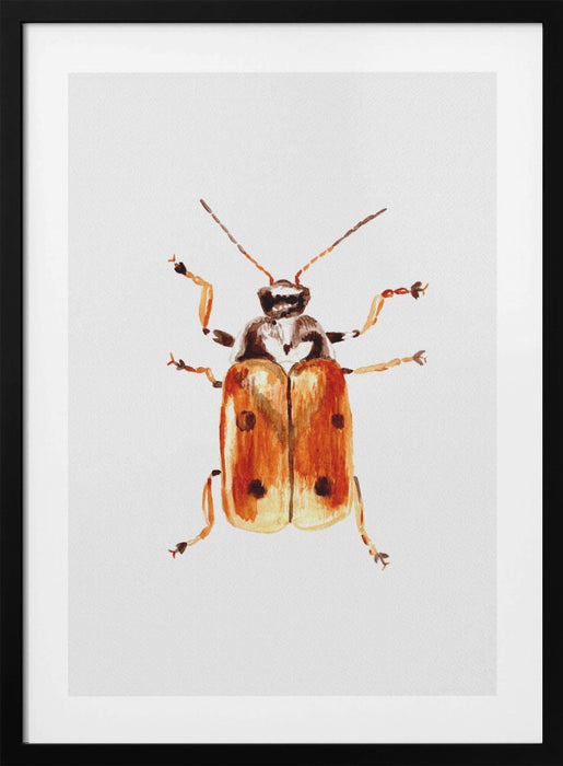 Another leaf beetle the Cryptocephalus cordiger Framed Art Wall Decor