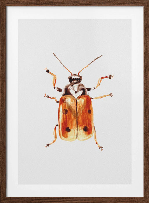 Another leaf beetle the Cryptocephalus cordiger Framed Art Wall Decor