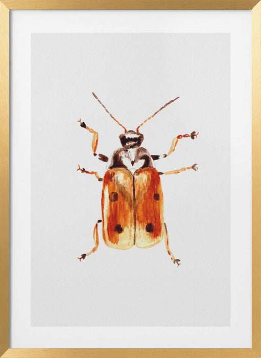 Another leaf beetle the Cryptocephalus cordiger Framed Art Wall Decor