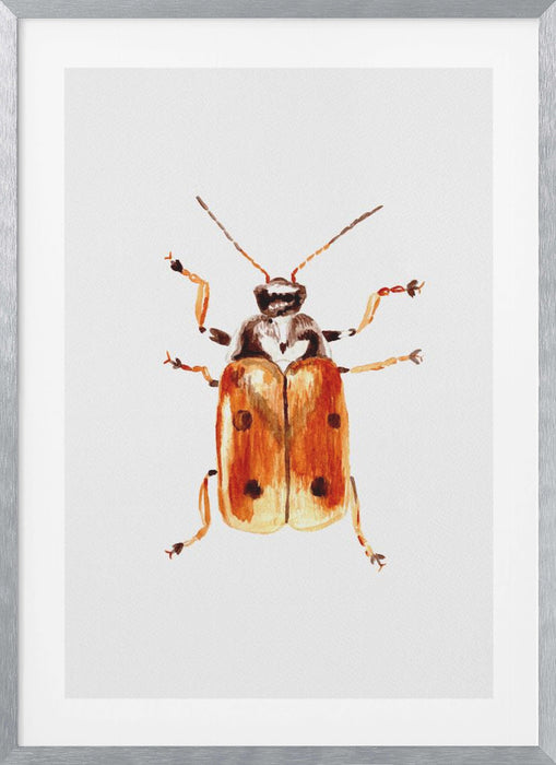 Another leaf beetle the Cryptocephalus cordiger Framed Art Wall Decor