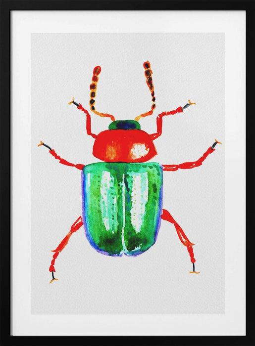 Knotweed beetle or Gastrophysa polygoni Framed Art Wall Decor