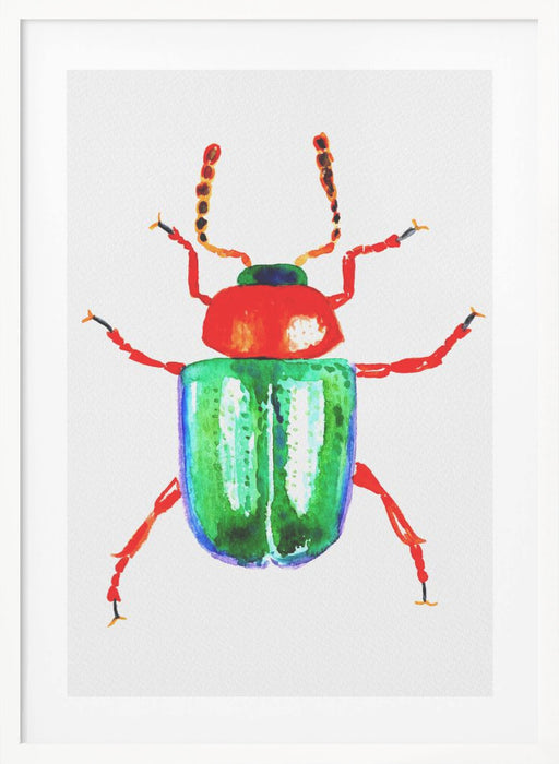 Knotweed beetle or Gastrophysa polygoni Framed Art Wall Decor