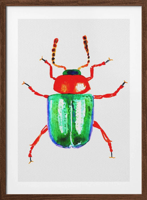 Knotweed beetle or Gastrophysa polygoni Framed Art Wall Decor