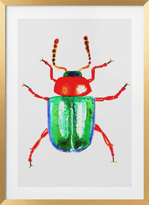 Knotweed beetle or Gastrophysa polygoni Framed Art Wall Decor