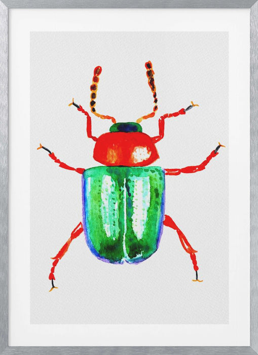 Knotweed beetle or Gastrophysa polygoni Framed Art Wall Decor