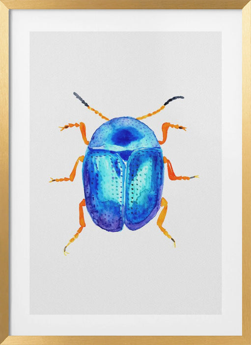 Blue leaf beetle or Colaphus sophiae Framed Art Wall Decor