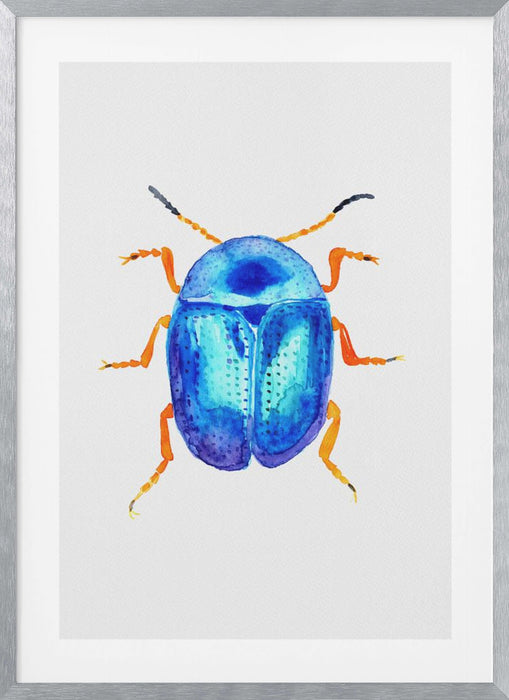 Blue leaf beetle or Colaphus sophiae Framed Art Wall Decor