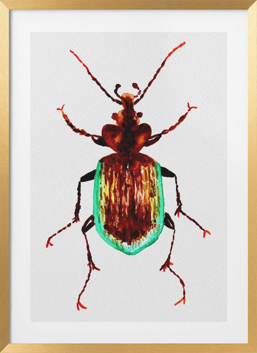 Caterpillar hunter beetle or Calosoma scrutator Framed Art Modern Wall Decor