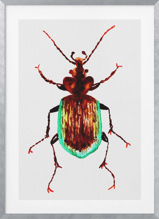 Caterpillar hunter beetle or Calosoma scrutator Framed Art Modern Wall Decor