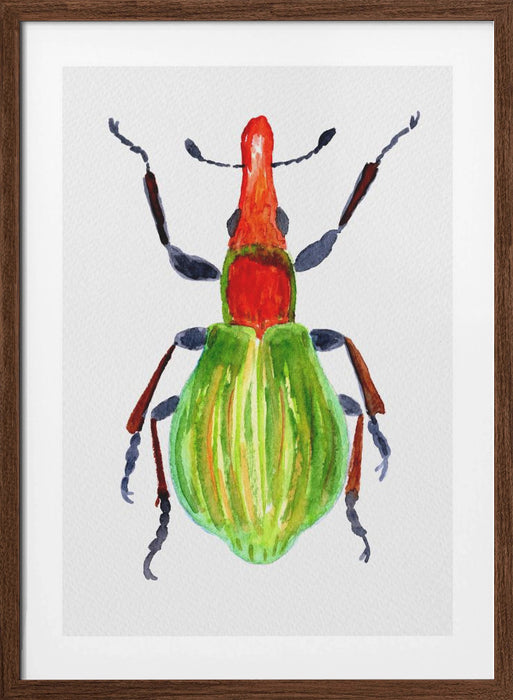 Pseudaplemonus artemisiae Framed Art Modern Wall Decor