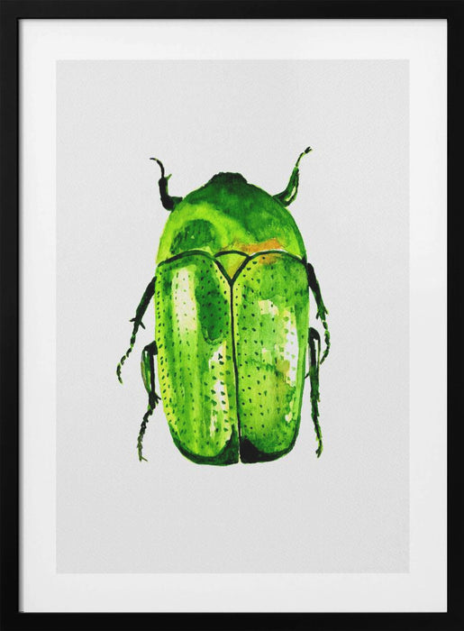 Green June beetle or Cotinis nitida Framed Art Wall Decor