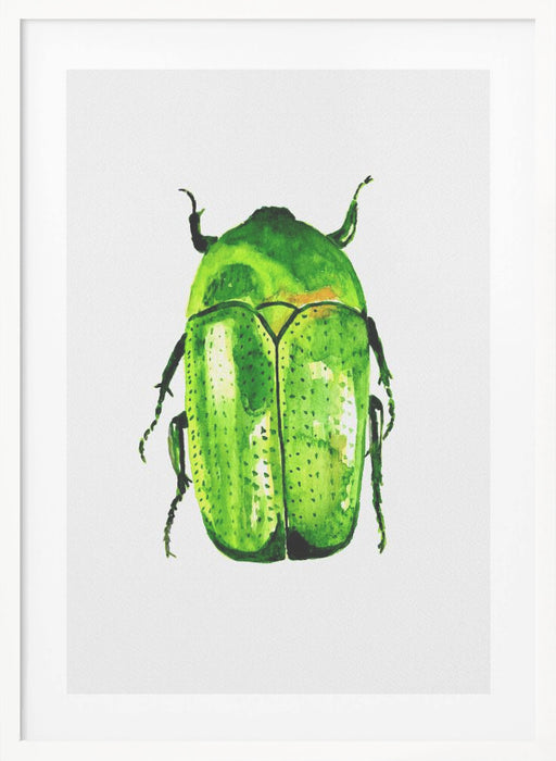 Green June beetle or Cotinis nitida Framed Art Wall Decor