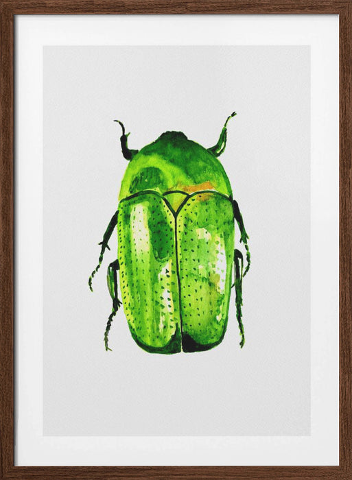 Green June beetle or Cotinis nitida Framed Art Wall Decor