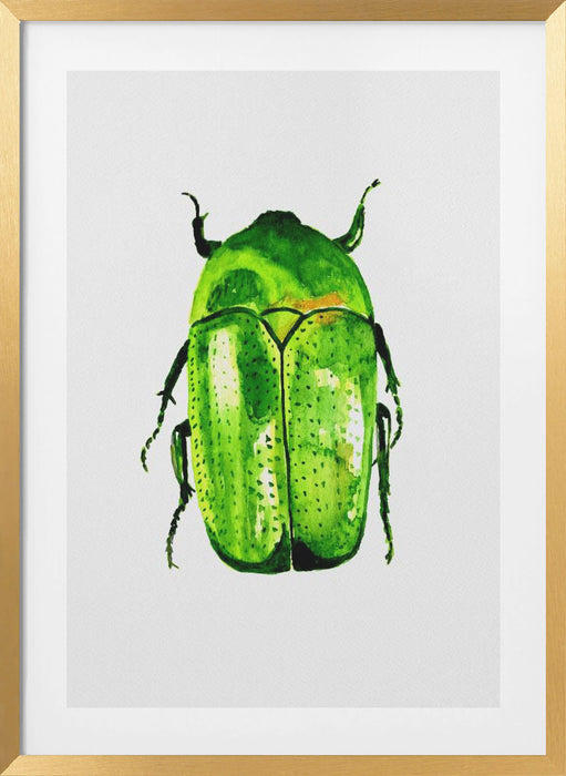 Green June beetle or Cotinis nitida Framed Art Wall Decor