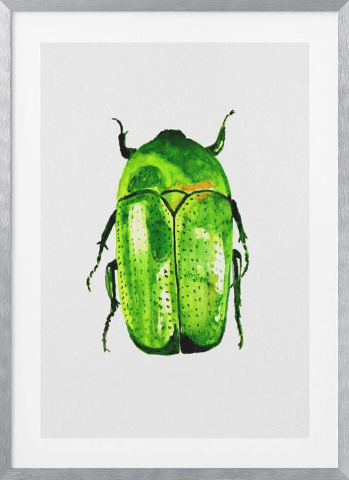 Green June beetle or Cotinis nitida Framed Art Wall Decor