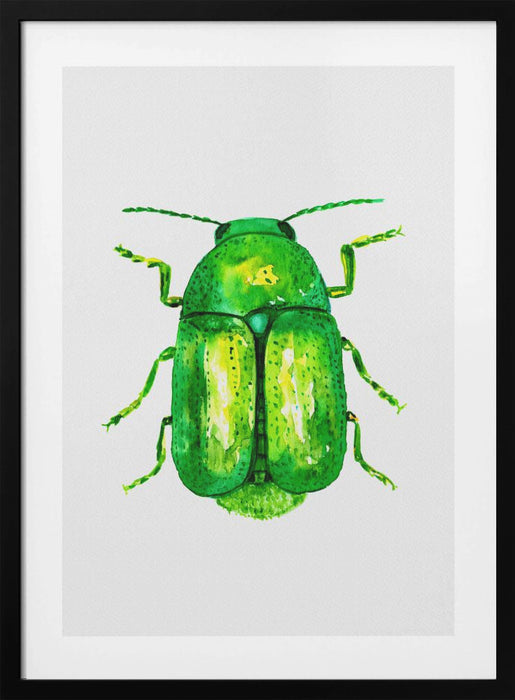 Cylindrical leaf beetle or Cryptocephalus sericeus Framed Art Wall Decor