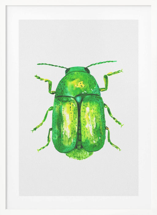 Cylindrical leaf beetle or Cryptocephalus sericeus Framed Art Wall Decor