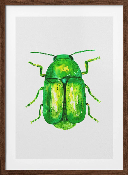 Cylindrical leaf beetle or Cryptocephalus sericeus Framed Art Wall Decor