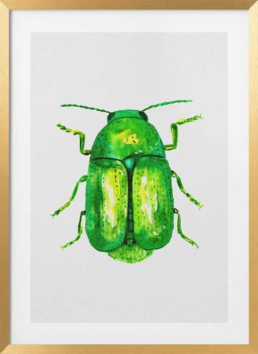 Cylindrical leaf beetle or Cryptocephalus sericeus Framed Art Wall Decor