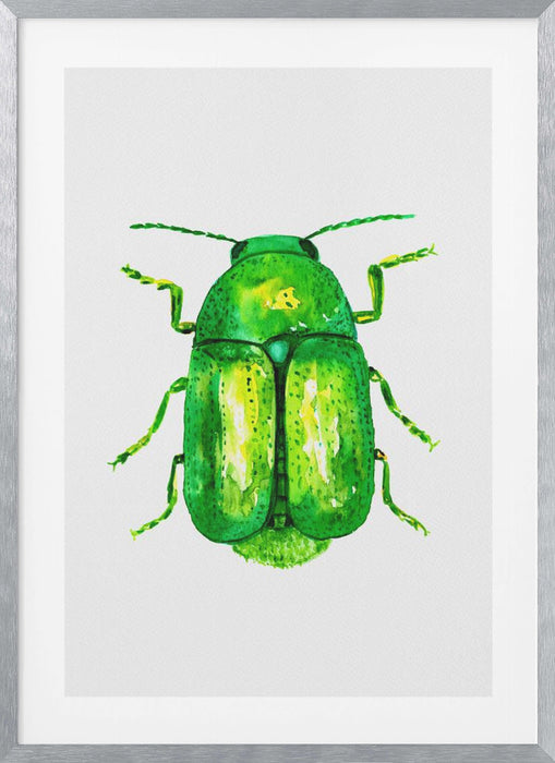 Cylindrical leaf beetle or Cryptocephalus sericeus Framed Art Wall Decor