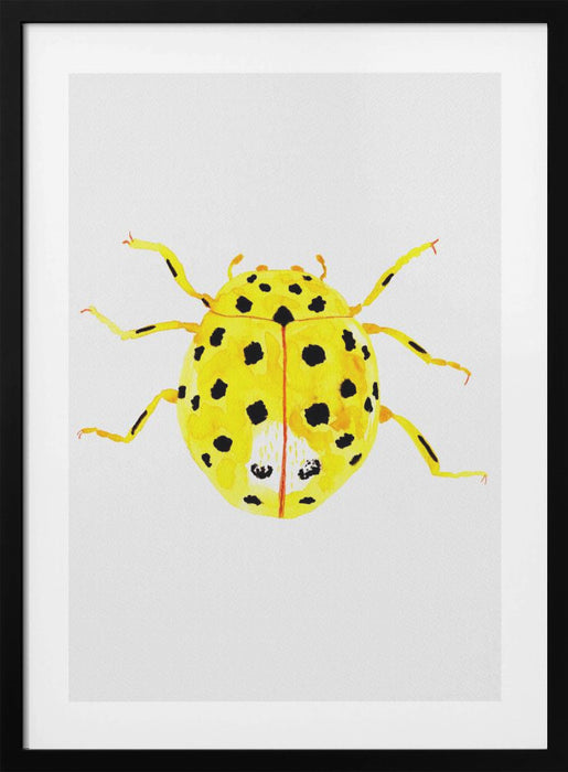 The 22-spot ladybird or Psyllobora vigintiduopunctata Framed Art Modern Wall Decor