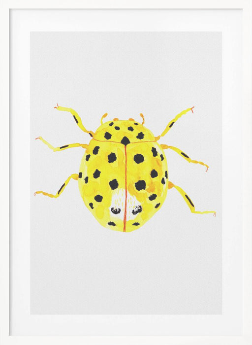 The 22-spot ladybird or Psyllobora vigintiduopunctata Framed Art Modern Wall Decor