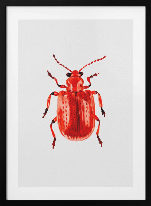 Onion beetle or Lilioceris merdigera Framed Art Wall Decor