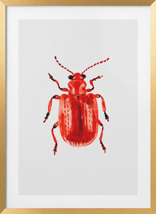 Onion beetle or Lilioceris merdigera Framed Art Wall Decor