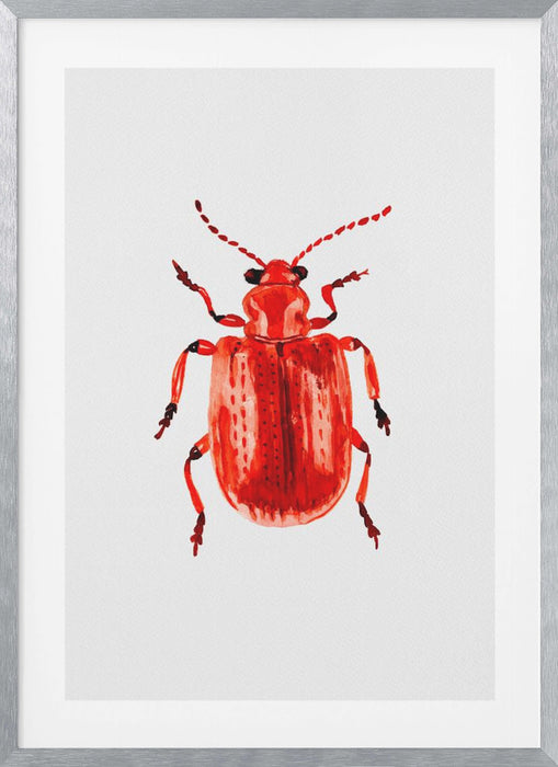 Onion beetle or Lilioceris merdigera Framed Art Wall Decor