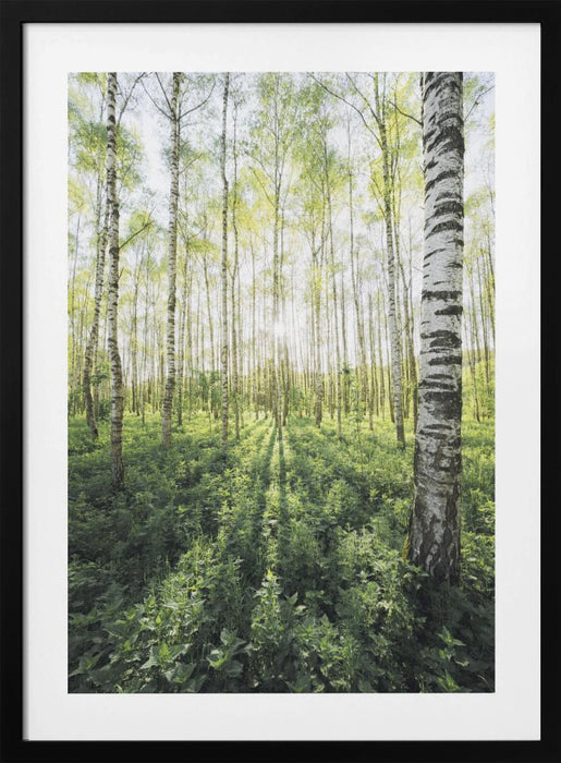 Birch Grove vertical Framed Art Modern Wall Decor