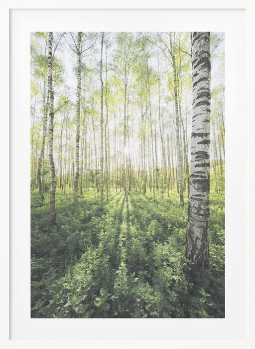 Birch Grove vertical Framed Art Modern Wall Decor