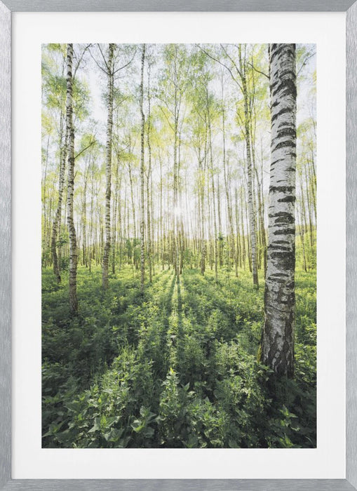 Birch Grove vertical Framed Art Modern Wall Decor