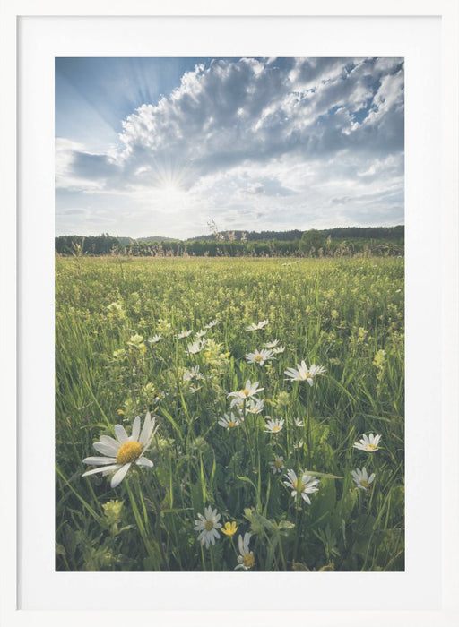 Flowering Meadow Framed Art Modern Wall Decor