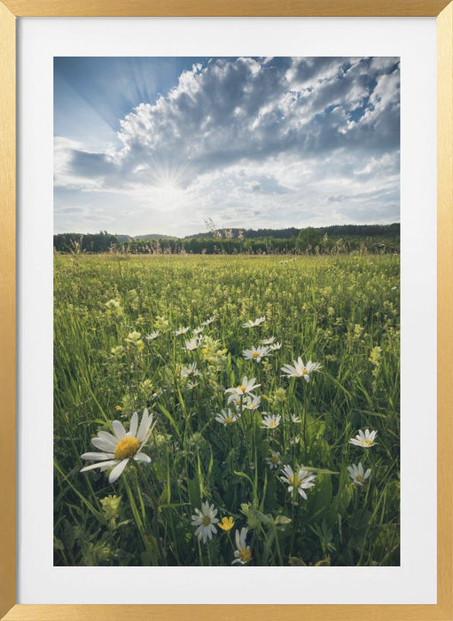 Flowering Meadow Framed Art Modern Wall Decor