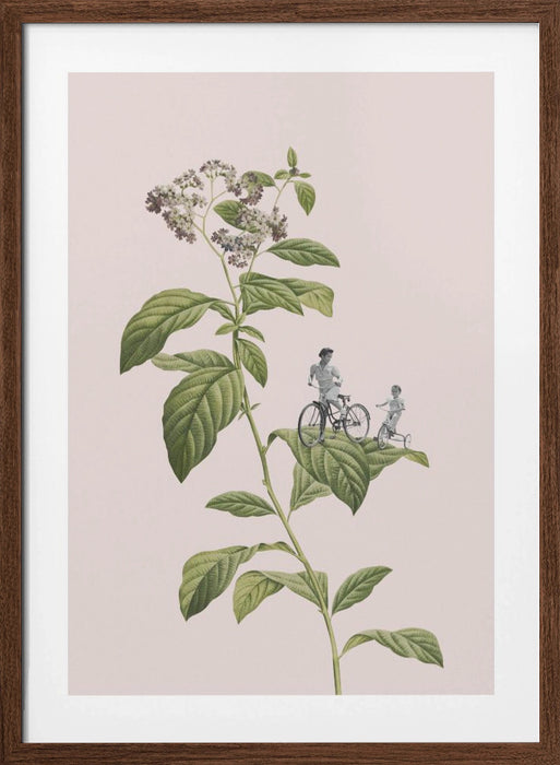 Botanical cycling Framed Art Modern Wall Decor