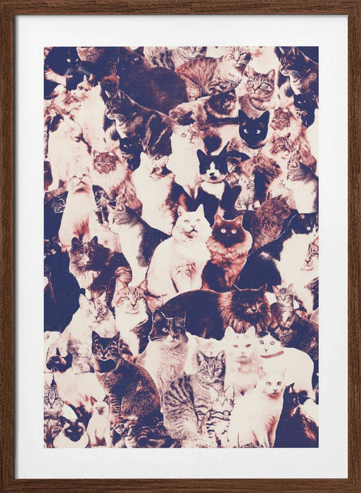 Cats Forever Framed Art Wall Decor