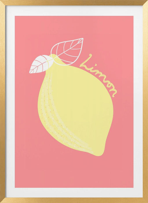 Limon Framed Art Modern Wall Decor