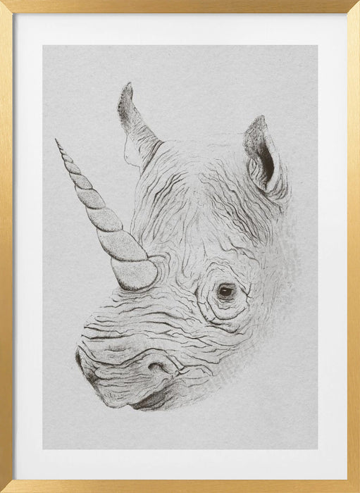 Rhinoplasty Framed Art Wall Decor