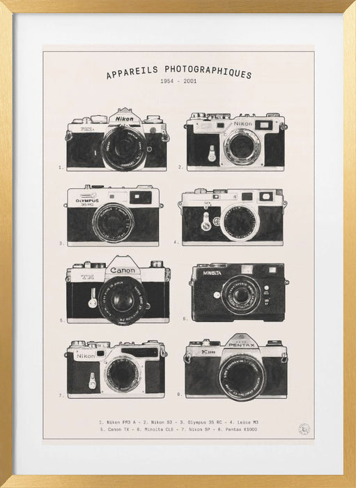 Appareils Photographiques Framed Art Modern Wall Decor