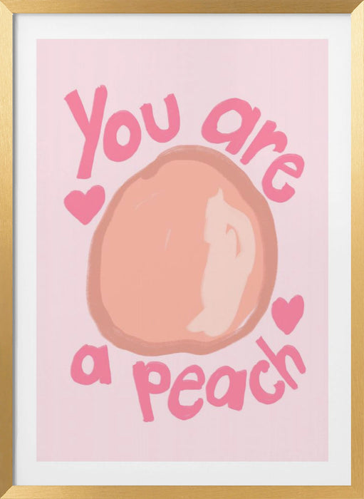 Peach Framed Art Modern Wall Decor