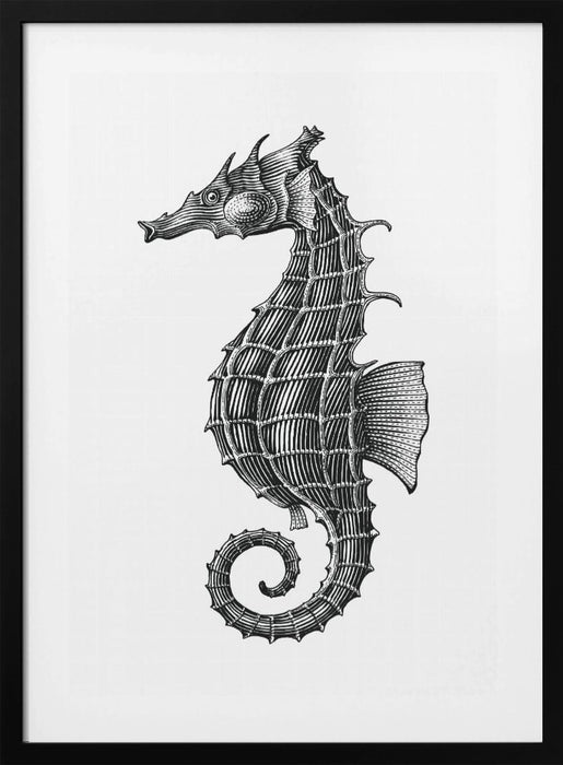 Seahorse Framed Art Wall Decor