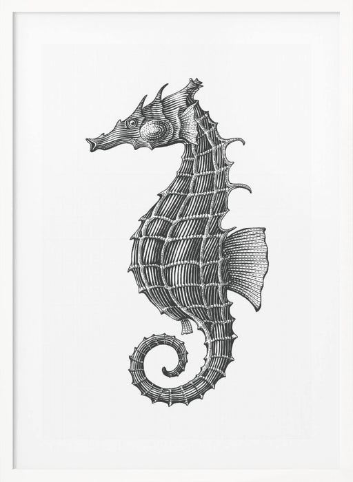 Seahorse Framed Art Wall Decor