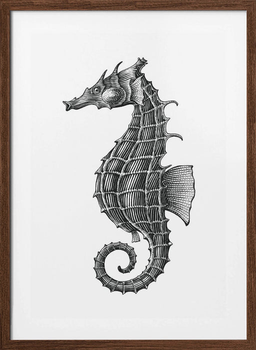 Seahorse Framed Art Wall Decor