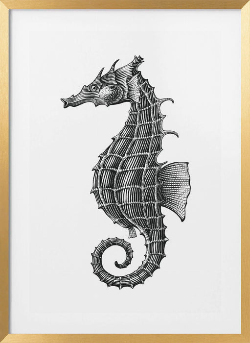 Seahorse Framed Art Wall Decor