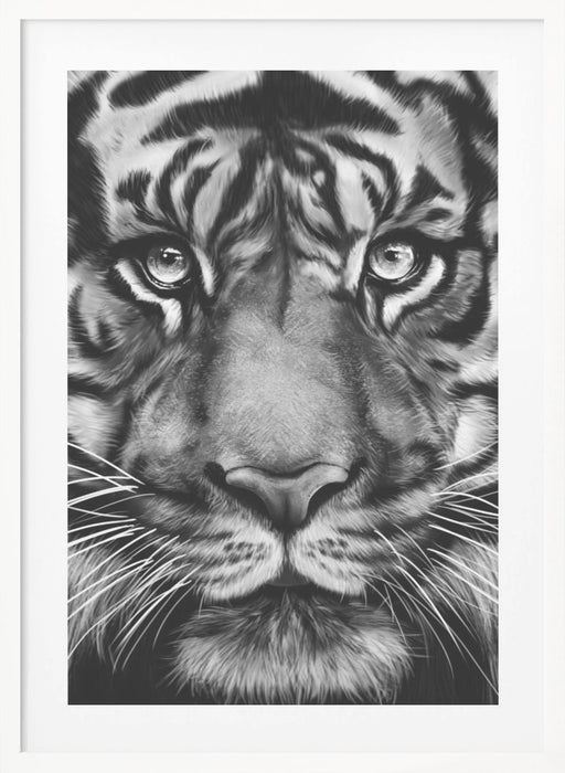 Tiger Framed Art Wall Decor