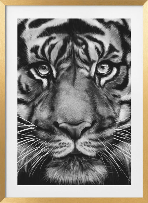 Tiger Framed Art Wall Decor