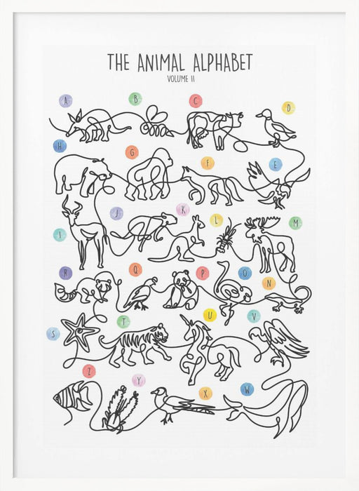 The Animal Alphabet Volume 2 Framed Art Wall Decor