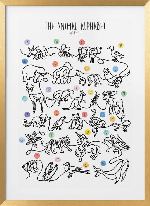 The Animal Alphabet Volume 2 Framed Art Wall Decor