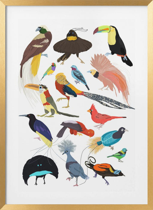 Birds of Paradise Framed Art Wall Decor