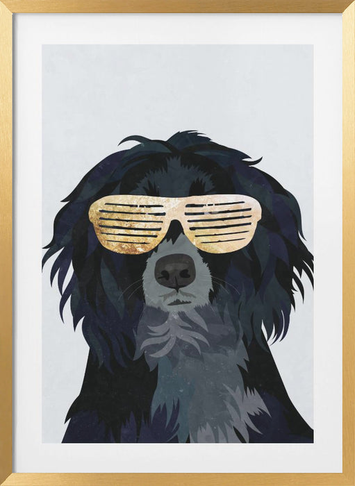 Hiphop Cockerspaniel Framed Art Wall Decor